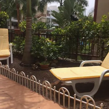 Lovely Family In High Quality Daire *