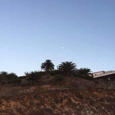 Lovely Family In High Quality * Palm-mar