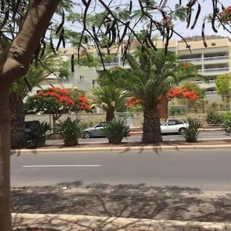 Lovely Family In High Quality Daire