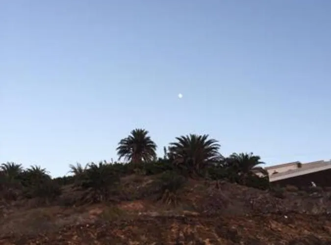 Lovely Family In High Quality * Palm-mar